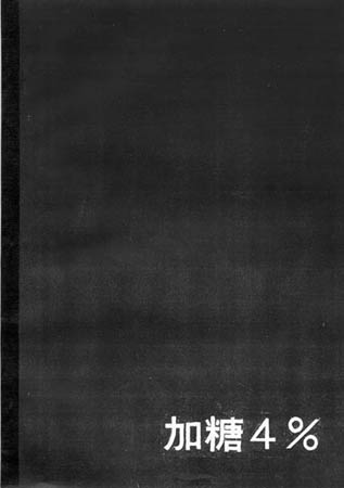 �w�p�ρ`����4���`�x���\��