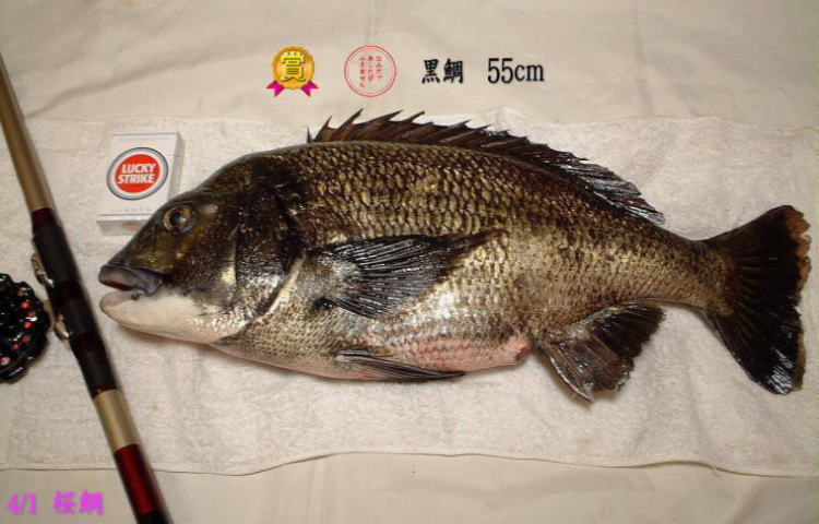 4/1 開花より一足お先です!